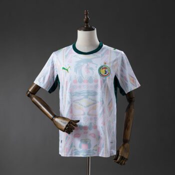 2026 Senegal Home